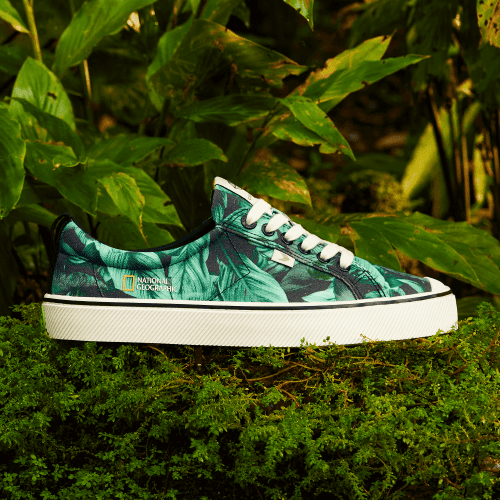 oca low natgeo peace lily canvas sneaker.feature 3