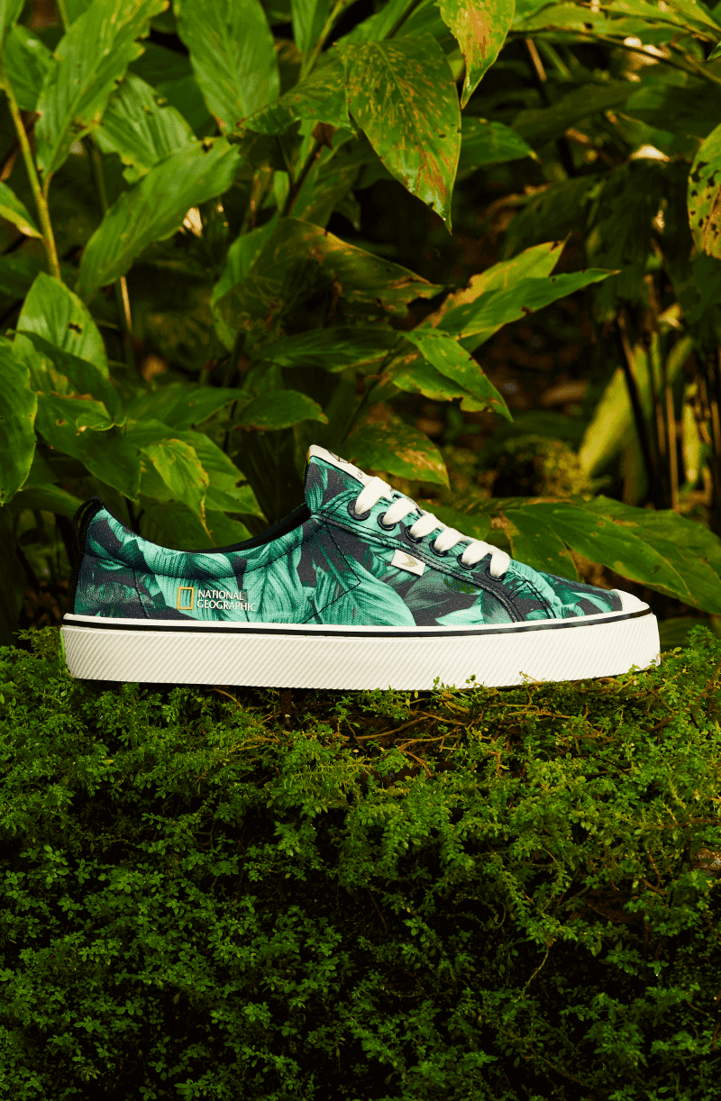 oca low natgeo peace lily canvas sneaker.feature 3