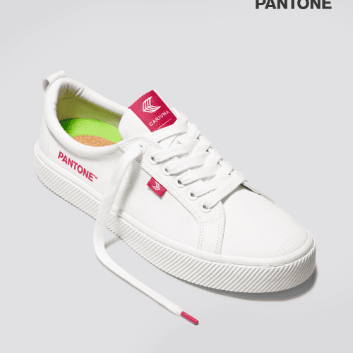 oca low pantone off white viva magenta canvas sneaker.fb feed