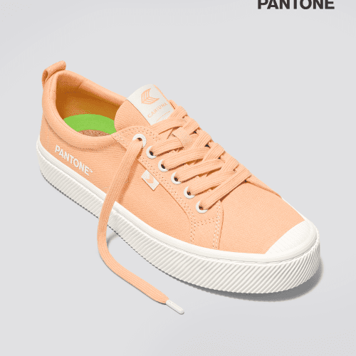 oca low pantone peach fuzz canvas sneaker.fb feed