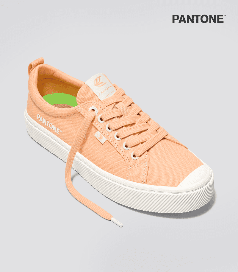 oca low pantone peach fuzz canvas sneaker.fb feed