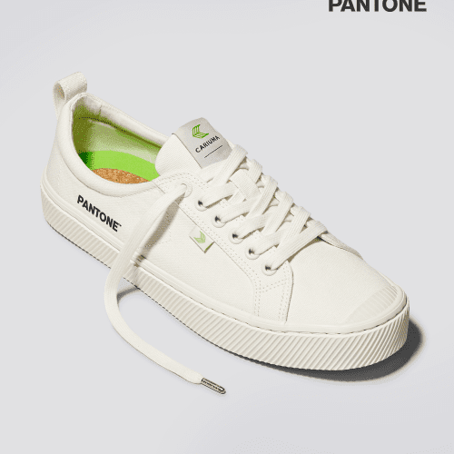 oca low pantone snow white canvas.hover