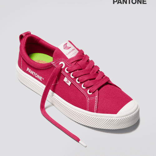 oca low pantone viva magenta off white canvas sneaker.fb feed